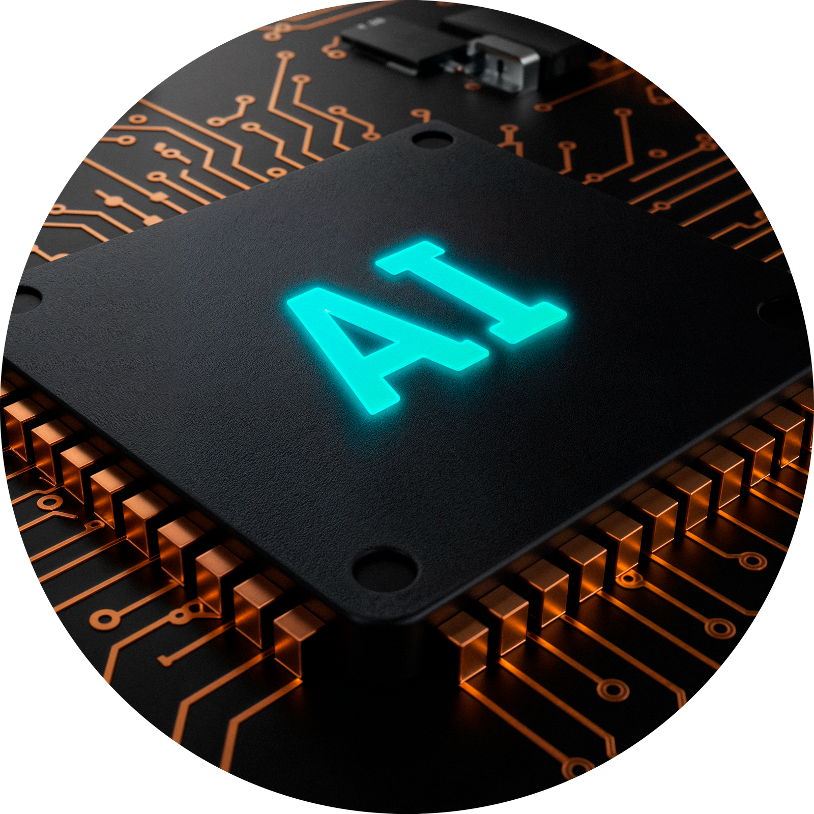 Vector